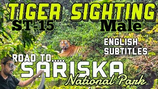 Our First Tiger Sighting at Sariska National Park  English Subtitle  Big Male Tiger  Wildlife [upl. by Kayley]