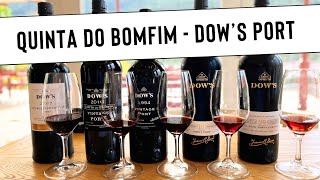 Making PORT WINE with Quinta do Bomfim Dows Port Symington Family Estates [upl. by Sanger]