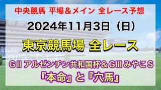 【アルゼンチン共和国杯】【競馬全レース予想】【東京競馬場】2024年11月3日の平場＆メインの全レースを予想！ [upl. by Rehpoitsirhc]