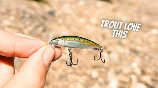 How to catch trout using LURES [upl. by Assilac]