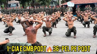 Cerimônia de Entrega do Boot 2024 da Engenharia e a Policia do Exército da Brigada Paraquedista 🦅 [upl. by Eihcra]