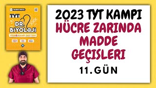 11Hücre Zarında Madde Geçişleri TYT Biyoloji Kampı Konu Anlatımı 9Sınıf 2023 Tayfa [upl. by Latrena]