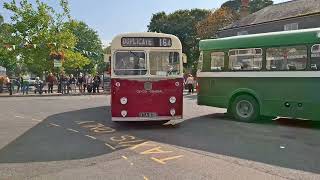 KINGSBRIDGE Vintage Bus Day  Devon General SouthDevon 🇬🇧 bus buses travel vintagebus heritage [upl. by Ixela]