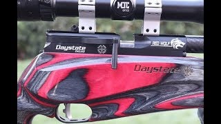 Daystate Red Wolf Midnight Air Rifle  Full Review Test amp Breakdown [upl. by Minoru143]