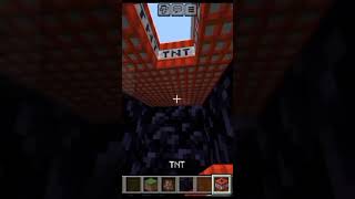 Minecraft can villager Survive  shorts minecraft [upl. by Tesler]