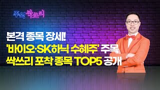 공명 정지우의 주식싹쓰리 본격 종목 장세 바이오·SK하닉 수혜주 주목싹쓰리 포착 종목 TOP5 공개  머니투데이방송 증시 증권 [upl. by Lacey]