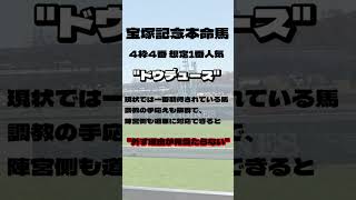 宝塚記念 2024年 本命馬対抗馬2頭 [upl. by Zetana]