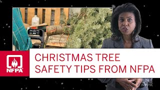 Christmas Tree Safety Tips from NFPA [upl. by Tellford720]