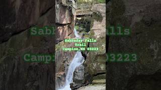 Sabbaday Falls newhampshire trail waterfall hike river trees mountain forest [upl. by Lleder]