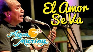 Agua Marina  El Amor Se Va En vivo [upl. by Mersey]