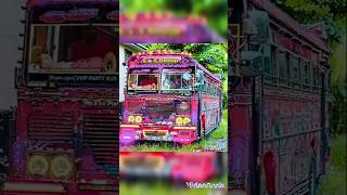 කොහොමද රැජිනගෙ ලස්සන 😘😍damrajina busvideo bus [upl. by Eannej]