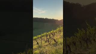 Spaziergang in Heilbronn am Weinberg [upl. by Ute]