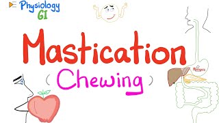 Mastication chewing   Mastication Reflex  Gastrointestinal Physiology [upl. by Margarethe249]