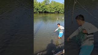 Pesca con Tarralla pesca videos viral viralspescador [upl. by Benildis]