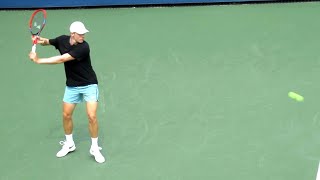 Denis Shapovalov HUGE Forehand amp Backhand Slow Motion [upl. by Enelyahs489]