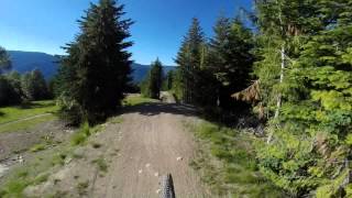 Whistler Crabapple Hits Massive Crash [upl. by Rumney912]