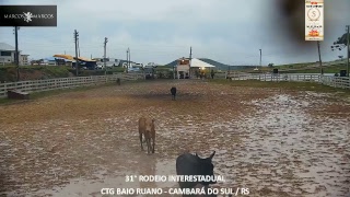 31° RODEIO INTERESTADUAL CTG BAIO RUANO  CAMBARÁ DO SUL  RS [upl. by Dusen]