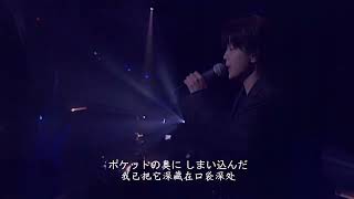 ZARD What a beautiful moment tour 2004part1 [upl. by Zullo]