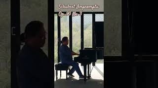 Schubert Impromptu Op 90 No 3 shorts [upl. by Koy]