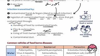 General Prevention of Communicable Diseases 2  Community Lec 6  Dr Amro Ashraf [upl. by Ikkela]