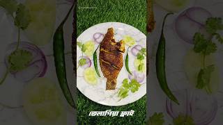 Telepia Mach vaja তেলাপিয়া মাছ ভাজা cookingcurry youtubeshorts [upl. by Anaujat]