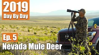 We Glassed 27 Bucks  2019 Nevada Mule Deer Ep 5 [upl. by Michaella]