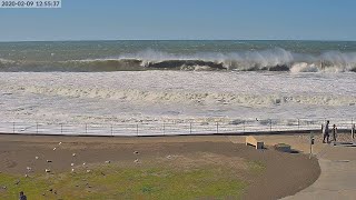 Sharp Park Beach Pacifica CA 4K Live [upl. by Tdnaltroc]