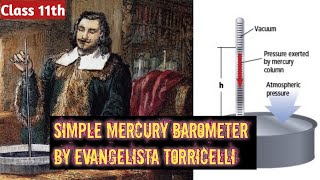 Simple Mercury Barometer By Evangelista Torricelli Class11th physics [upl. by Tye]