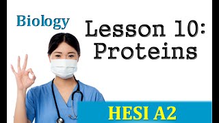 HESI Biology Review  Lesson 10 Proteins [upl. by Kyred]