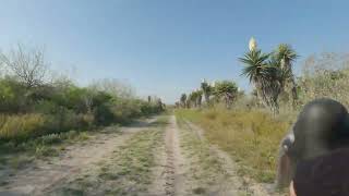 W Lake Trail Laguna Atascosa NWR shortsvideo [upl. by Nahsin]