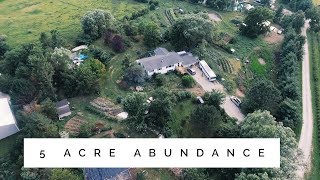 the 5 Acre Permaculture Homestead  Unbelievable Abundance [upl. by Enid]