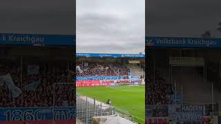 🦁Löwen vs Investor und zum Glück zurück 🎉  🏟️ 3Liga  ⚽ SV Sandhausen vs TSV 1860 München [upl. by Eittel362]