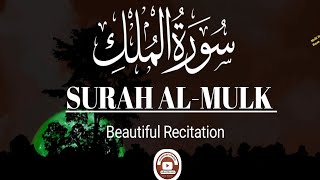 Surah alMulk سورۃ المُلک  viral Quran tilawat Beautiful voice ayatullahqurantv surahmulk [upl. by Piselli484]