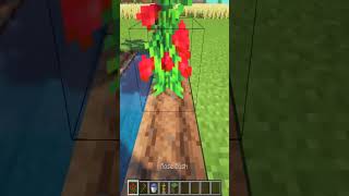 Cool Tomato Farm in Minecraft minecraft minecraftshorts gaming gamingvideos [upl. by Peirce416]