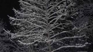 Snow Photos at Rosemont West Virginia [upl. by Eronel579]