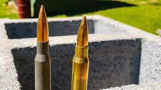 762X54R VS 308 Win  Cinder Block Test  Mosin VS CMMG Endeavor [upl. by Nylareg]