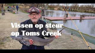 Dagje steuren op Toms Creek in Lelystad met Gijs Nederlof [upl. by Tavis]