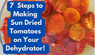 7 Steps to Making Sun Dried Cherry Tomatoes on Your Dehydrator [upl. by Ainehs]