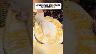 L’un des plus gros fruits au monde‼️😱😱food delicious découverte fruit astuce pourtoi fyp [upl. by Ner428]