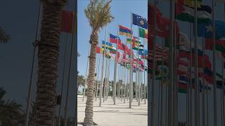 Famous Flag plaza 🇵🇸 Which country are you from travel world explore photography [upl. by Weksler]