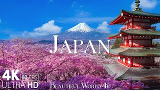 Japan 4K  A Stunning Visual Tour of Cherry Blossom Season and More  Calming Music [upl. by Onabru839]