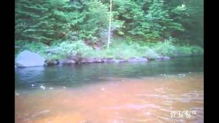 Fishing Caddis Hatch on Kennebago from Mainelyflyfishingcom [upl. by Ahsirak]