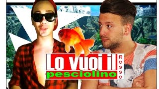 LO VUOI IL PESCIOLINO ROSSO  Videocommento [upl. by Ailen181]