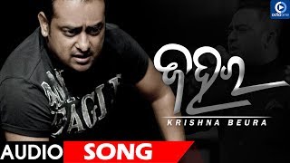 ZAHARA  AUDIO SONG  KRISHNA BEURA [upl. by Bj]