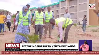 More than 300000 tree seedlings planted today in Garissa Mandera and Wajir [upl. by Celina]