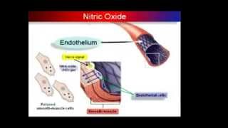 LARGININE Nitric Oxide No More Heart Disease [upl. by Peadar504]