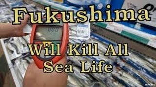 quotFukushimaquot No more Seafood for you [upl. by Norramic]