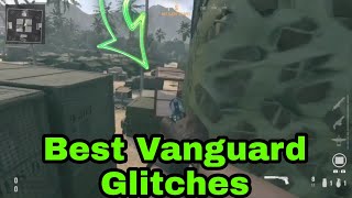 Best Glitches Vanguard [upl. by Clo181]