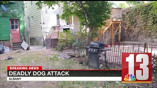 Police Large group of dogs attacked Albany man to death [upl. by Arraet]