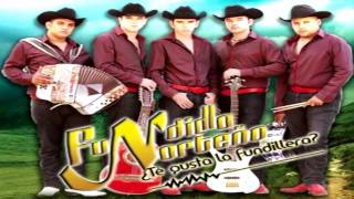 Fundillo Norteño El Antrax Party Estudio 2011 [upl. by Ydnil]